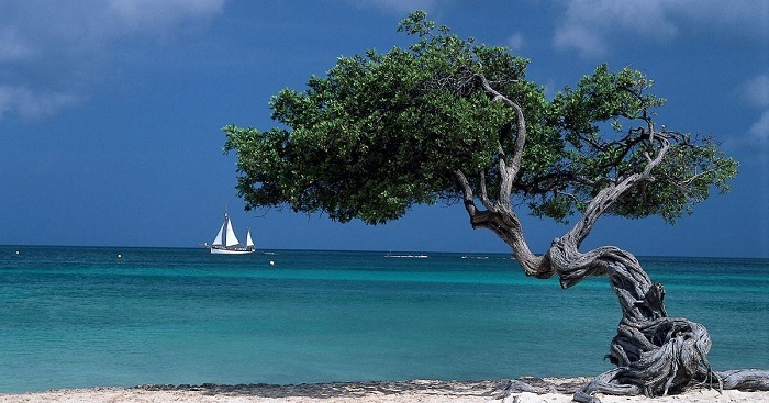 Остров Аруба.