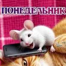 Руслан, г. Москва