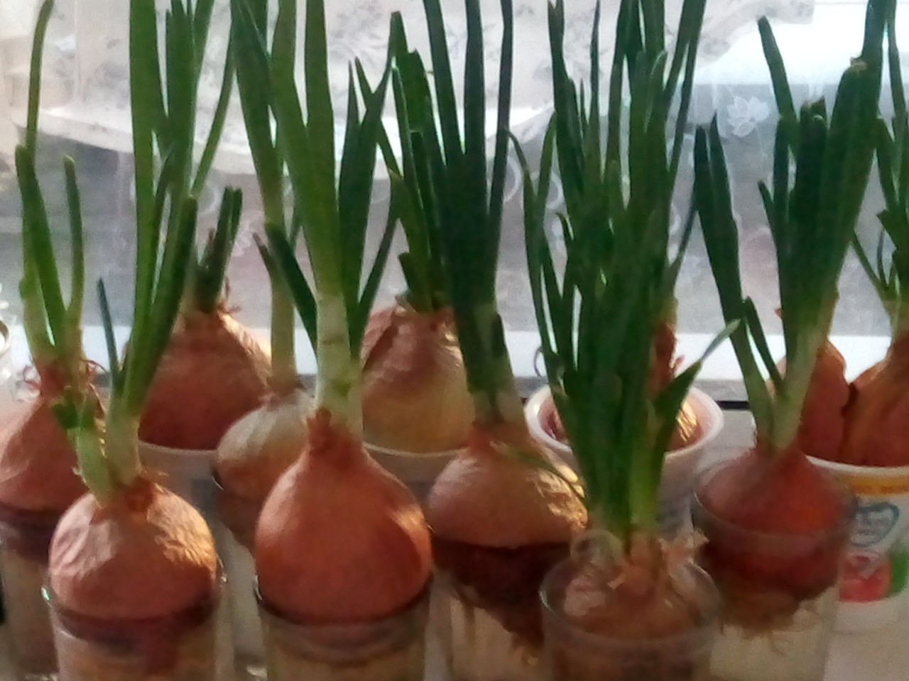 Синдром нехватки денег или ОтДельные советы по экономии не работают