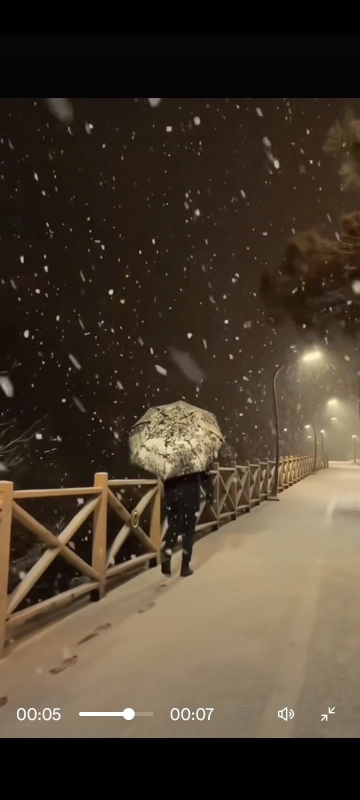 Черепашьи шаги.