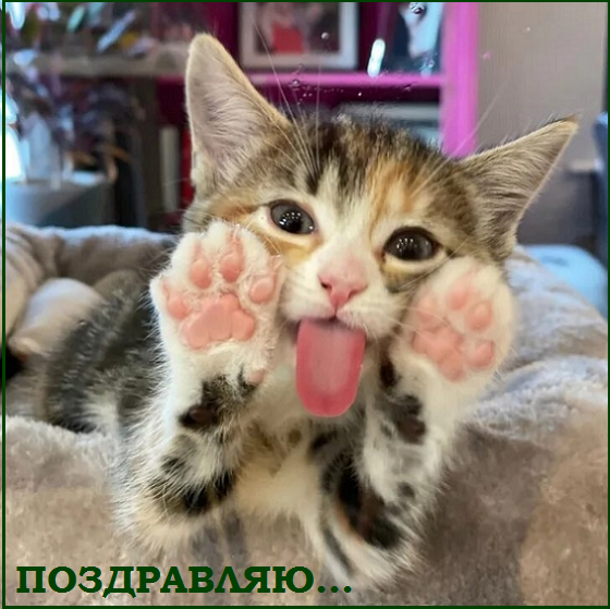 Котопозитивчик «Провожаем лето»