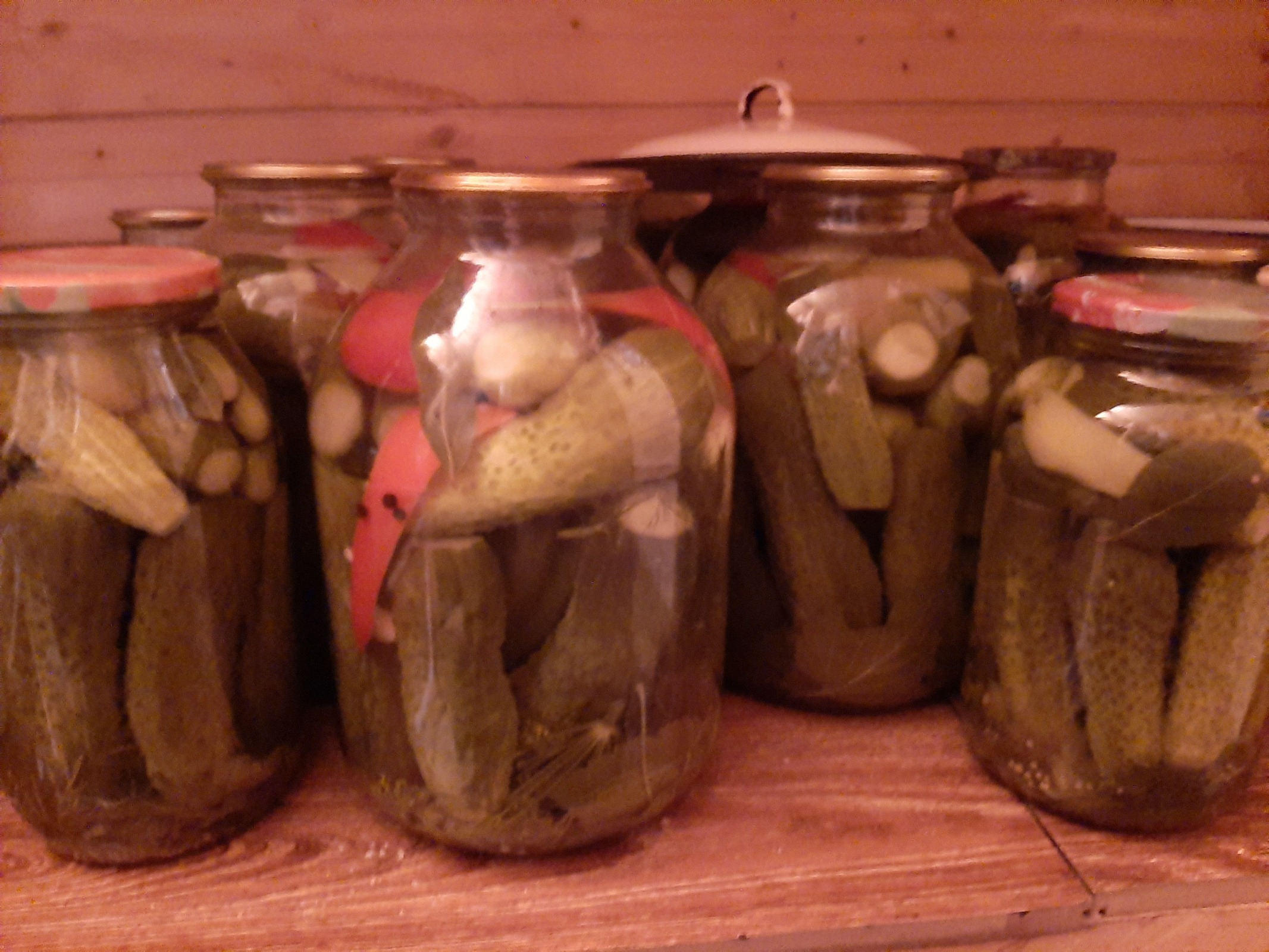 Как я провела лето: урожай 2025. Что удалось вырастить