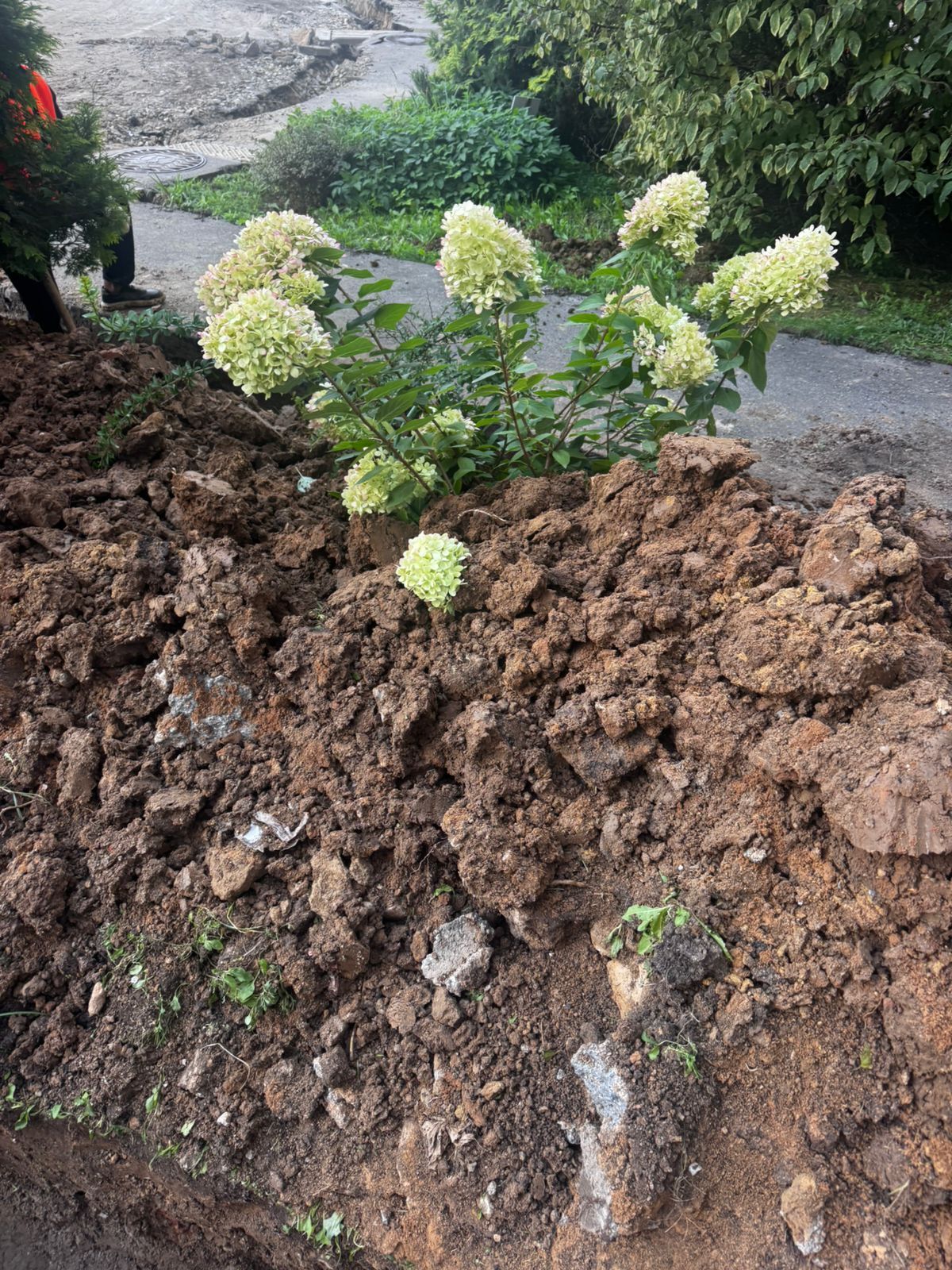 Суровое первое сентября