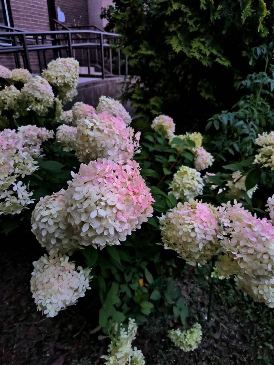 Суровое первое сентября