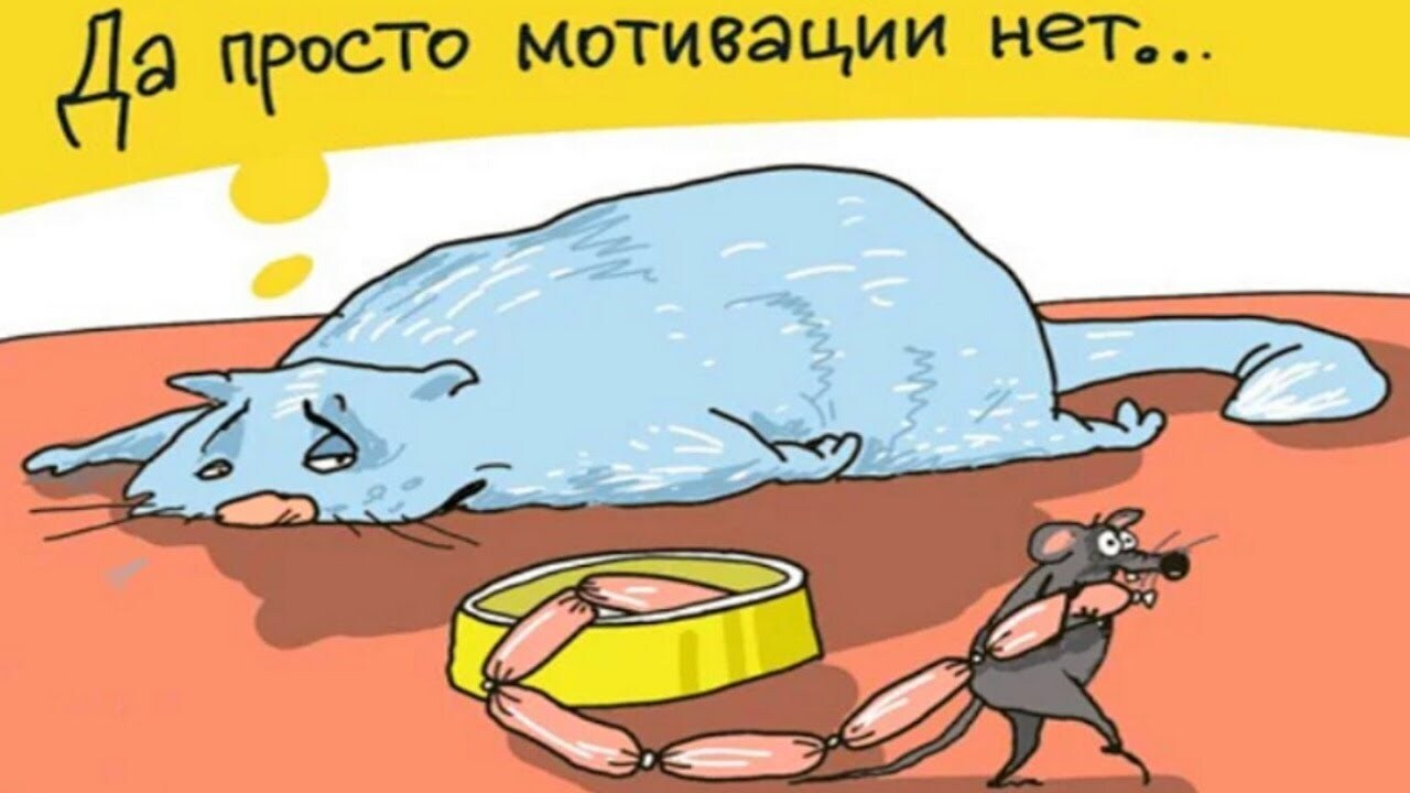 Почему люди больше сидят дома, чем гуляют на свежем воздухе?