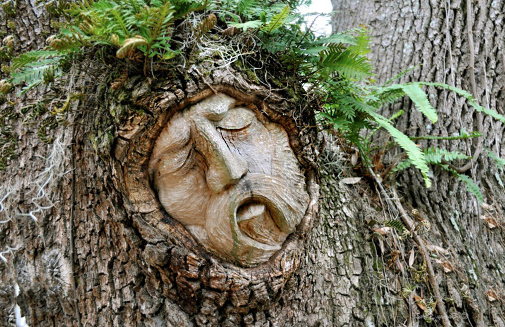 "Научно-религиозная" демонология о неизвестных тайнах Тёмной Силы! Или о том, о чём Вы хотели спросить, но побоялись узнать.