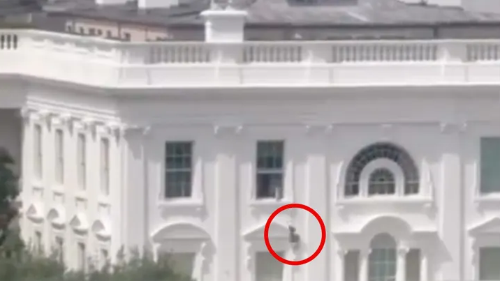 Трамп прокомментировал странное вирусное видео с загадочными предметами, выброшенными из окна Белого дома.