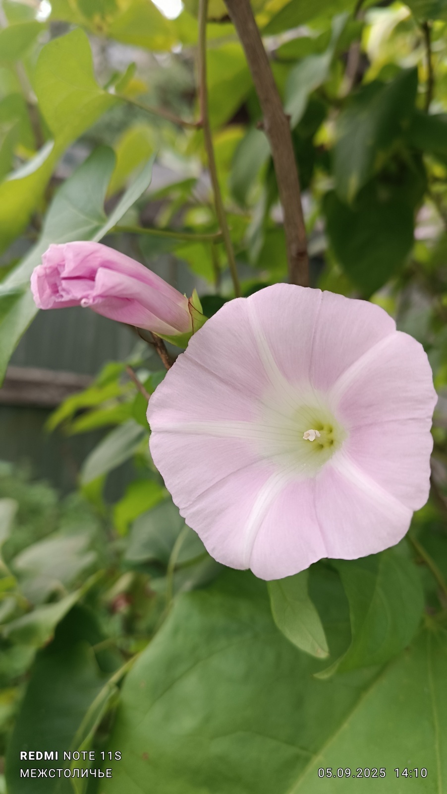 Реклама «Вьюн Торг Банка» из Межстоличья.