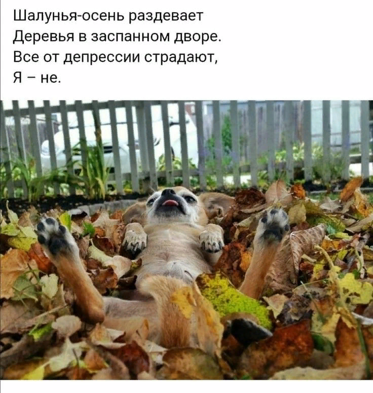 Невероятная причина осенних депрессий