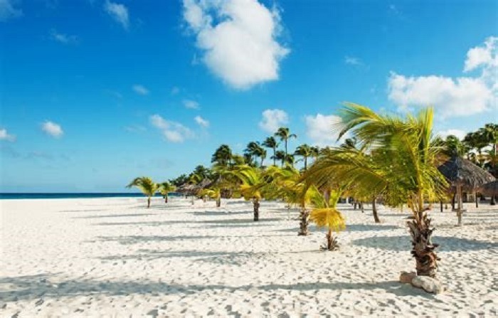 Предложение к фермерам России и на постсоветском пространстве.