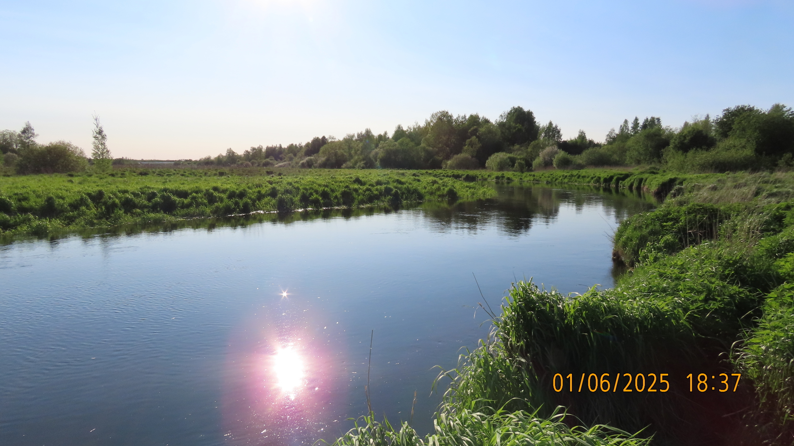 Как Лето - 2025 в очередной раз провело нас.