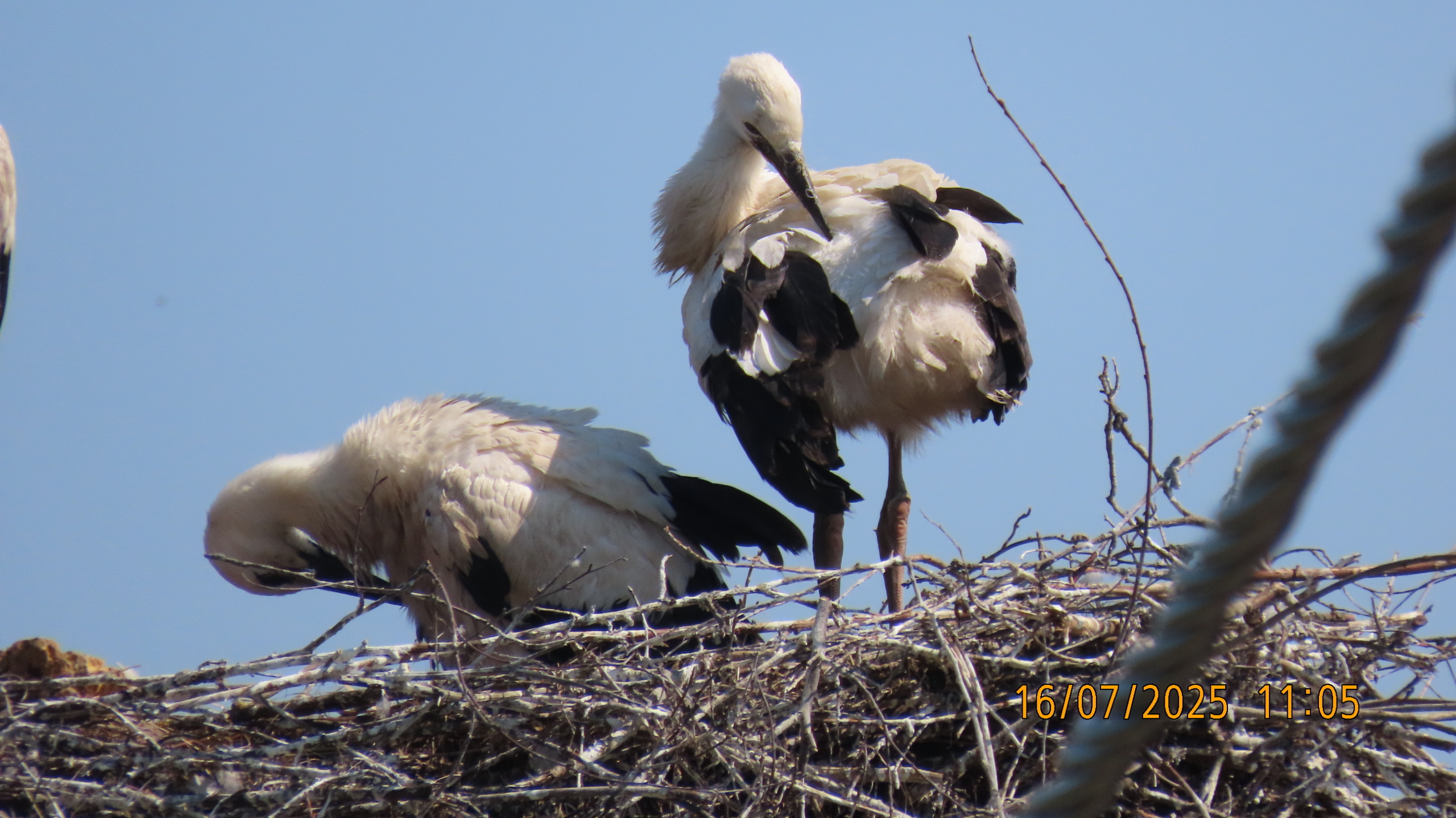 Как Лето - 2025 в очередной раз провело нас.