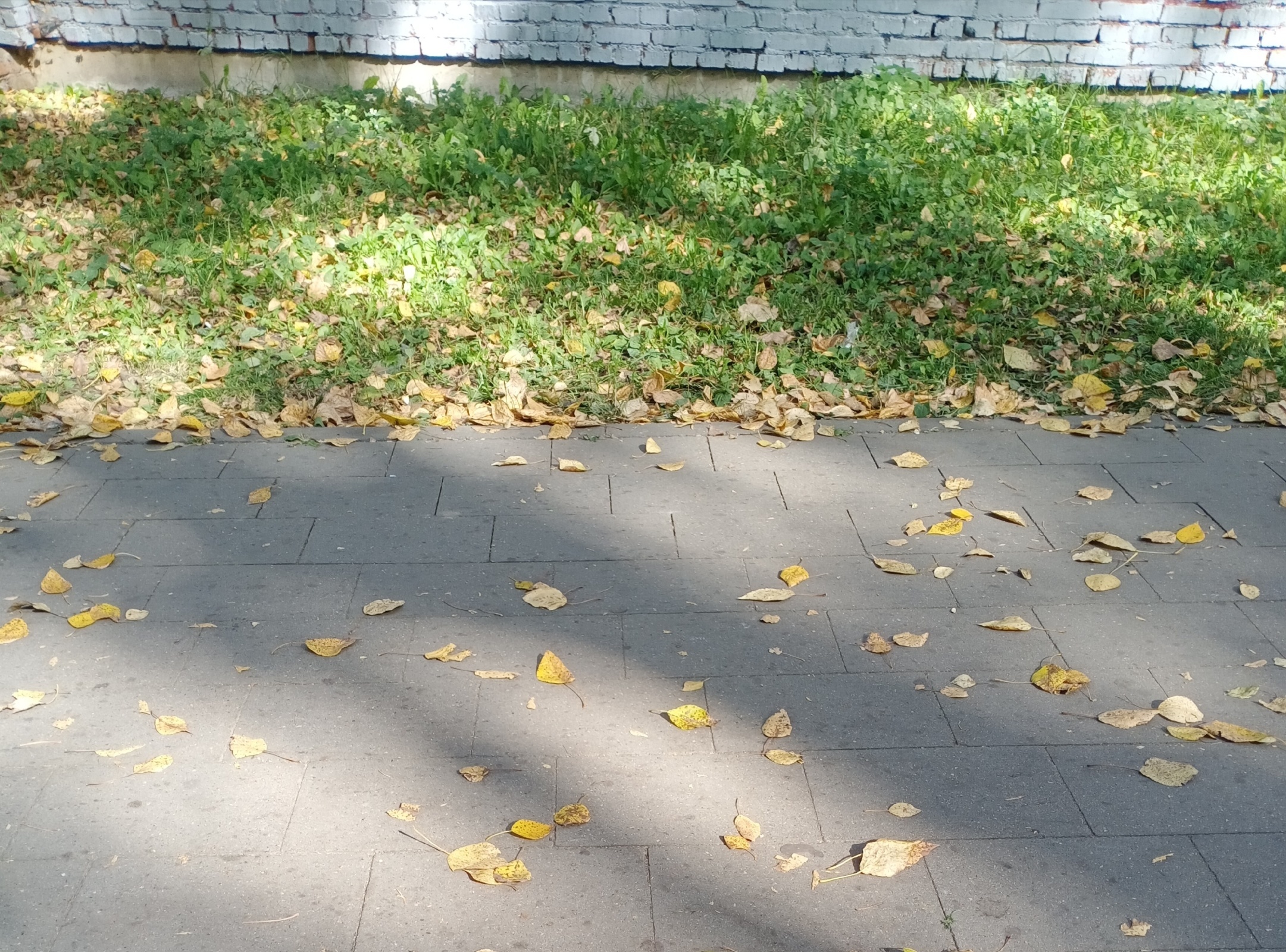 Какая у вас сейчас осень?