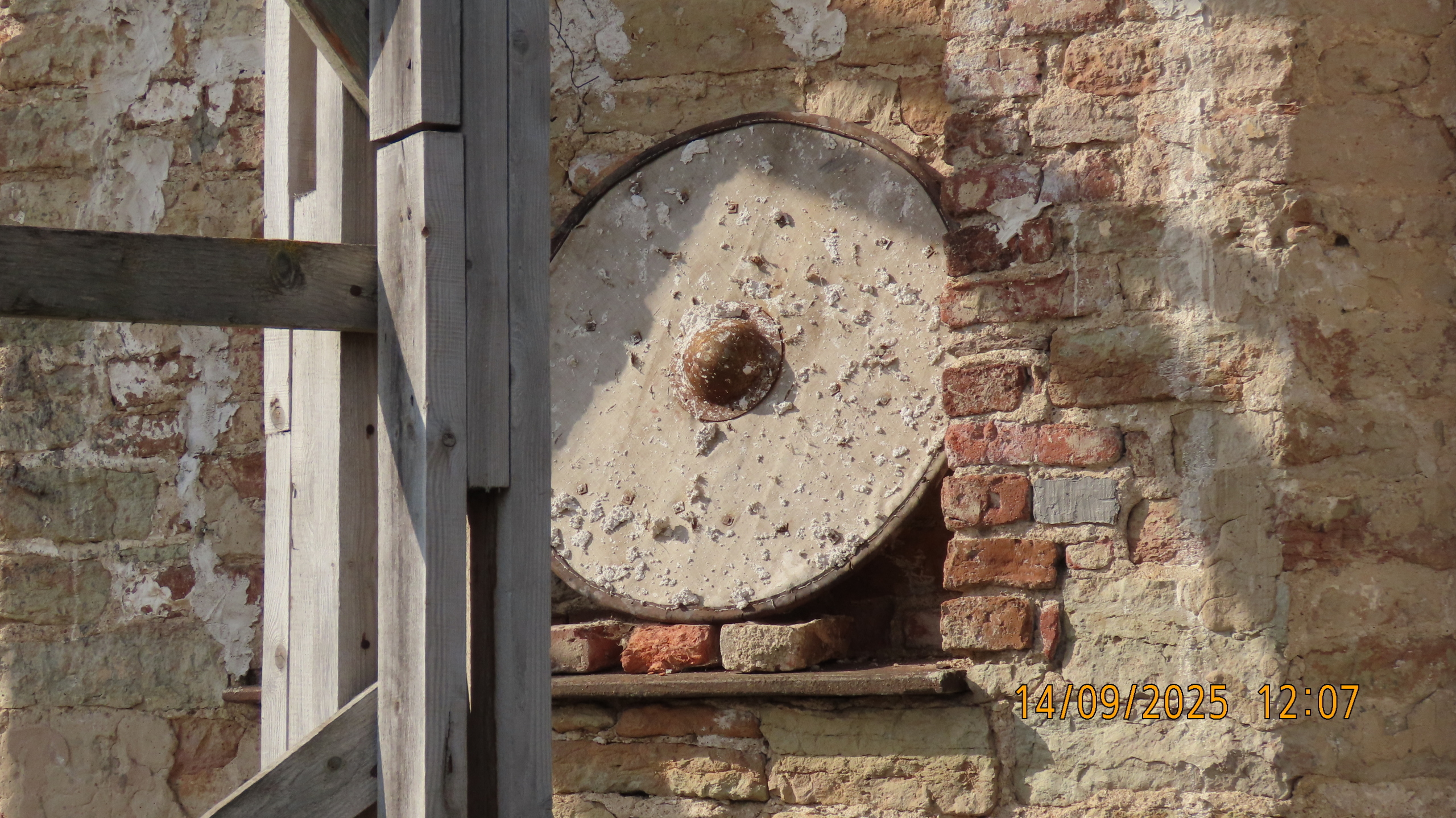Возрождение / Тайцы, деревня Александровка / Храм Святого благоверного князя Александра Невского.