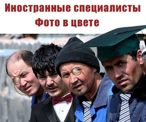 Это не политика — это самоубийство.