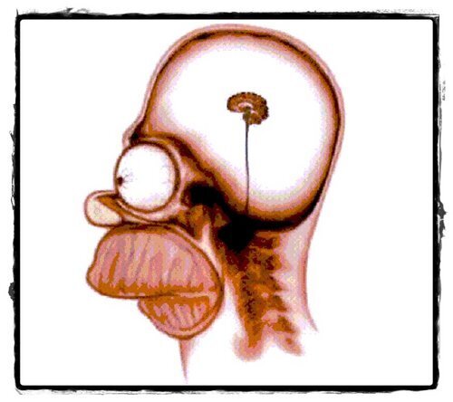 Можно ли полностью задействовать мозг?