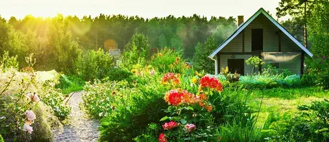 "Семейный" старт: старт есть, а семья?