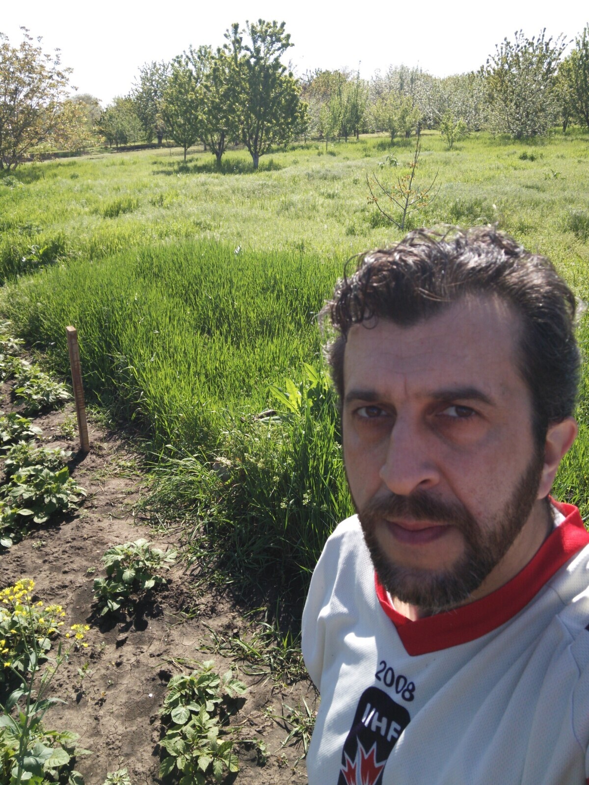 Как и где лучше всего искать юриста или адвоката даже, для решения земельного вопроса и еще потом и наследственного тоже? Неужели рекомендации лучше?