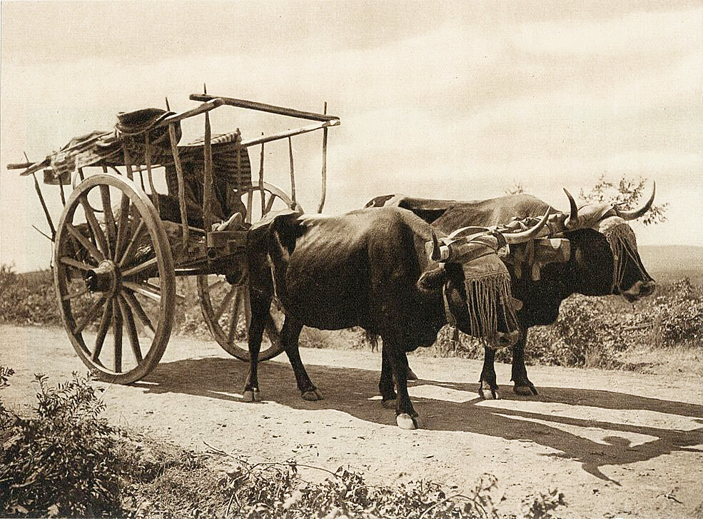 Тайные знания о скрытом "Я" человека и о методе этого "я-обнаружения"! Наука об этом ничего не знает...