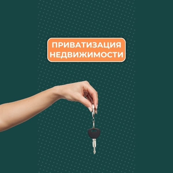 Приватизация