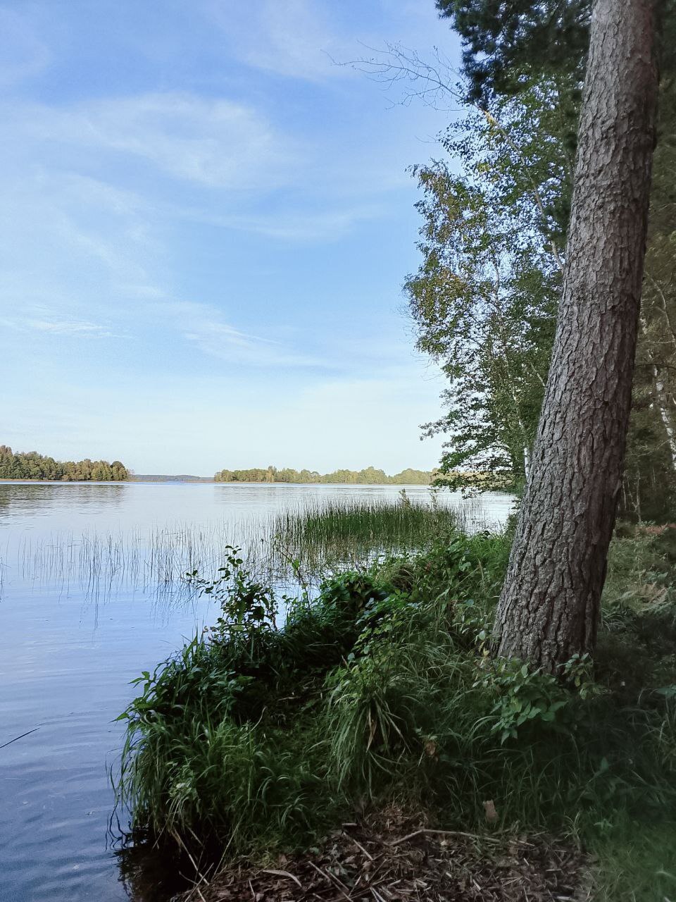 Все надоело! Что делать?