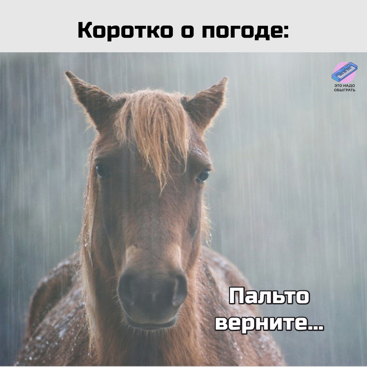 Весёлые картинки про осень