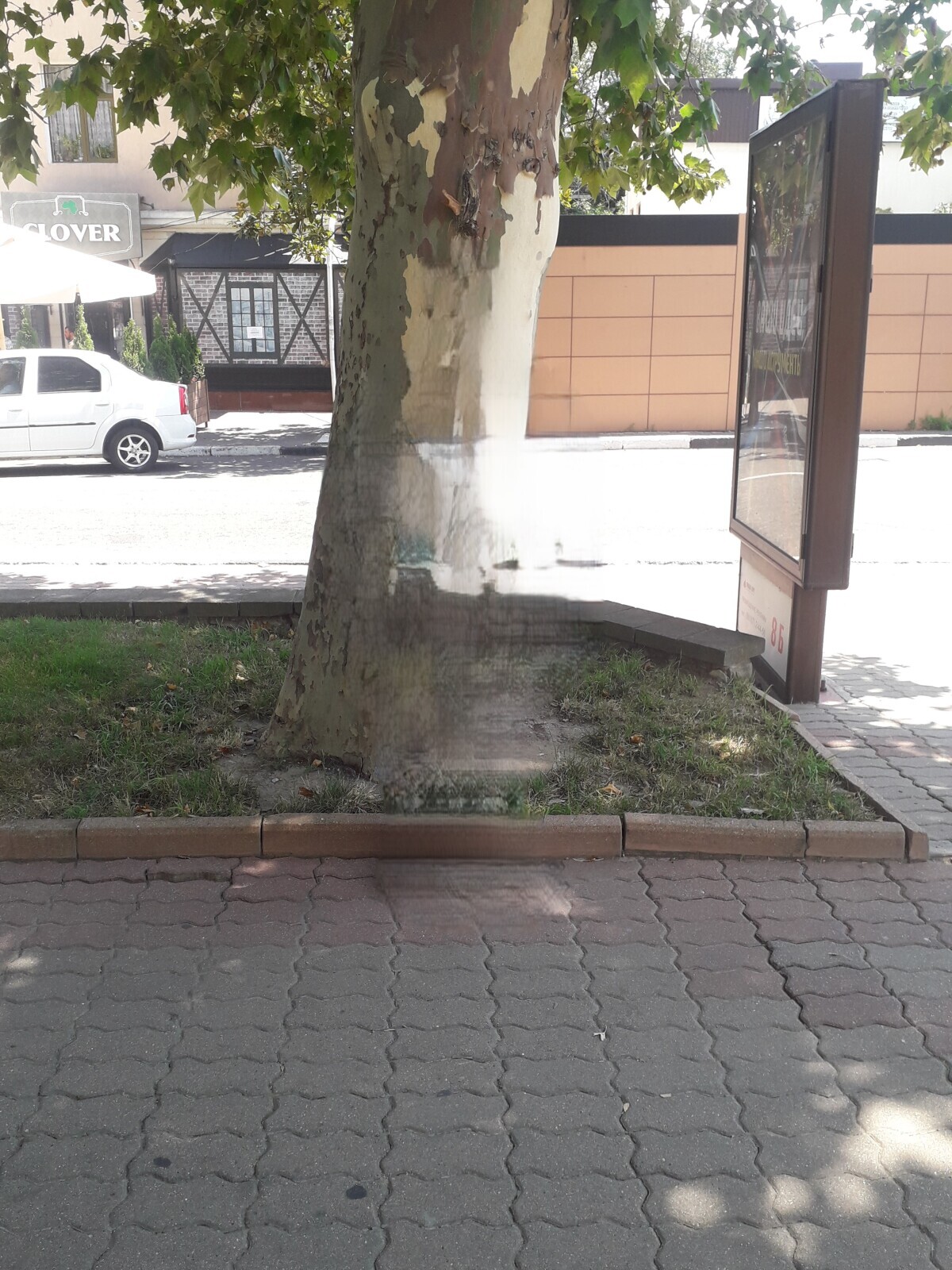 В любой ситуации надо включать голову