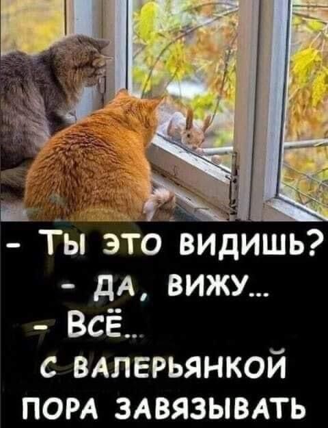 Весёлые картинки про осень