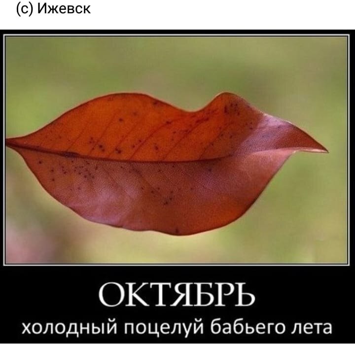 Весёлые картинки про осень