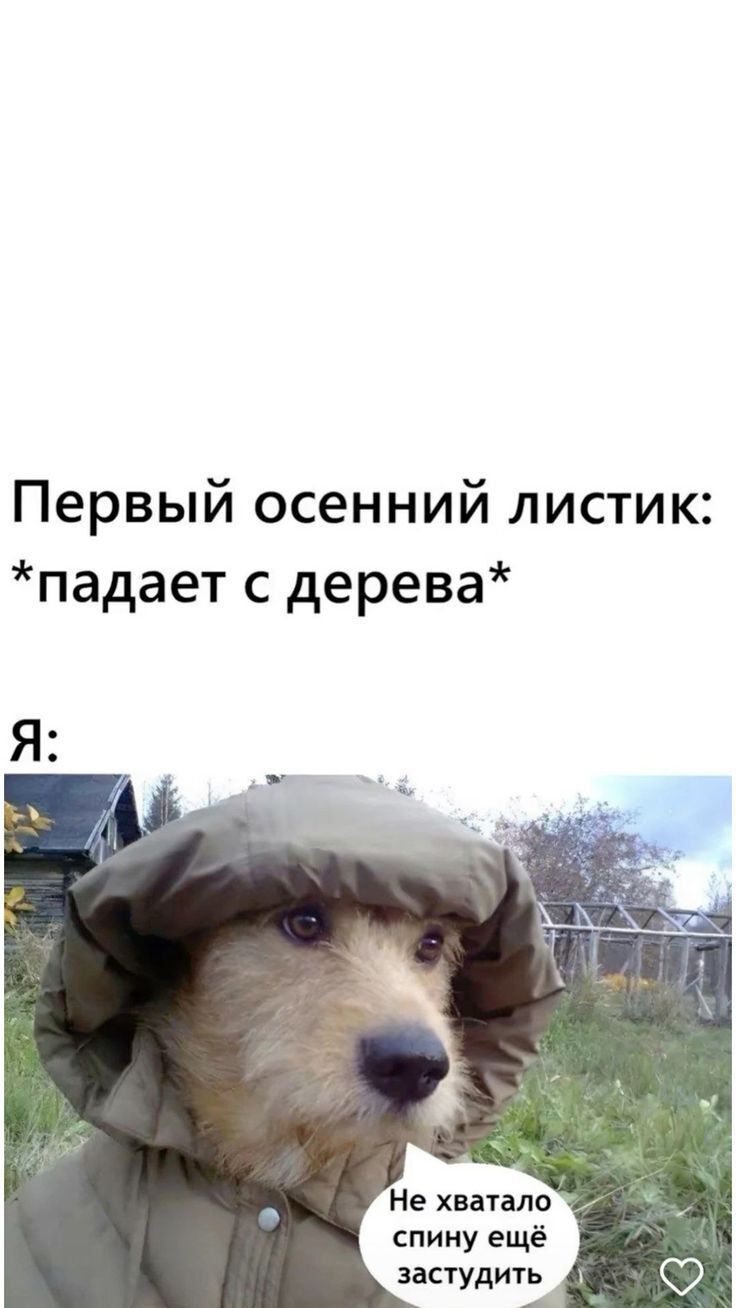 Весёлые картинки про осень