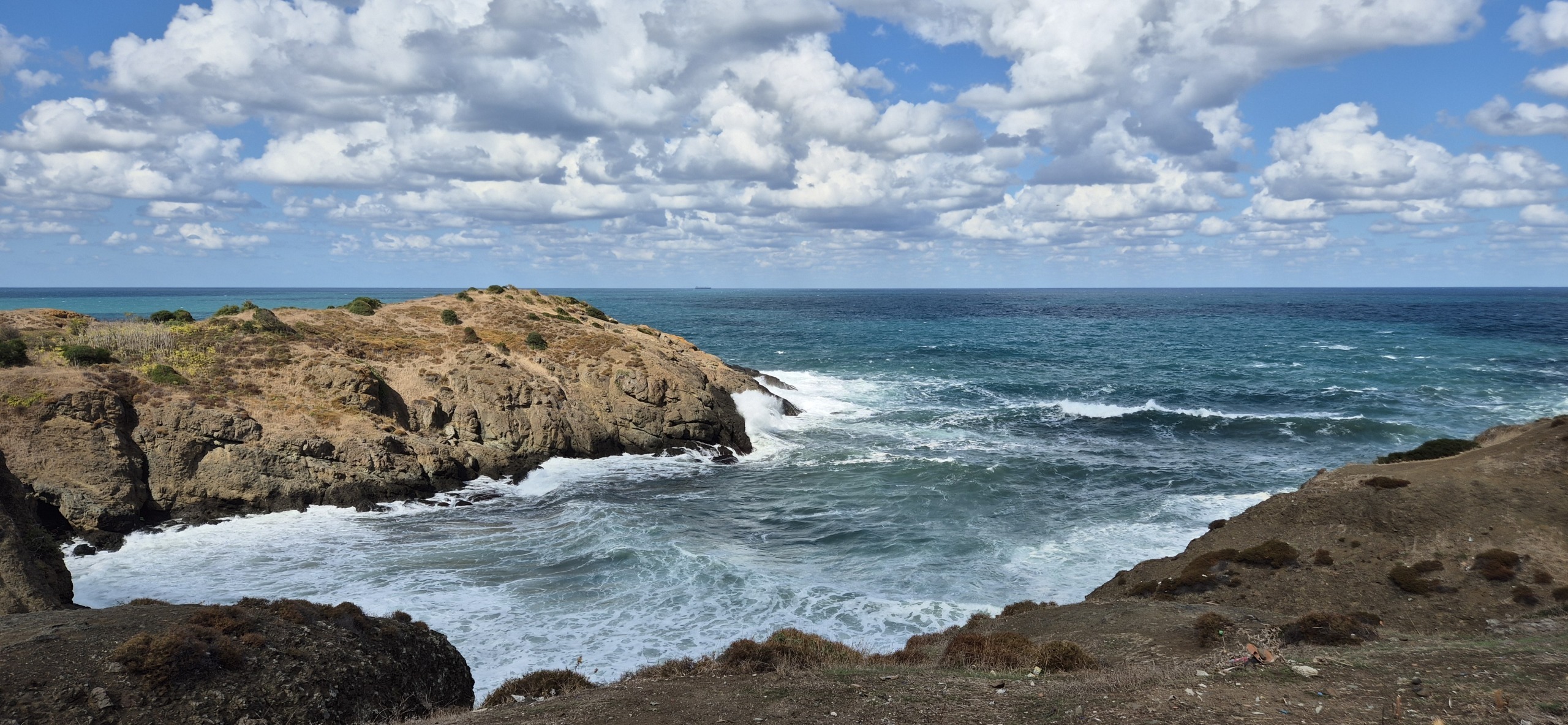 У Чёрного моря