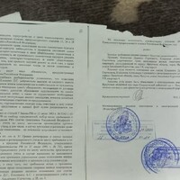 29190859.jpg