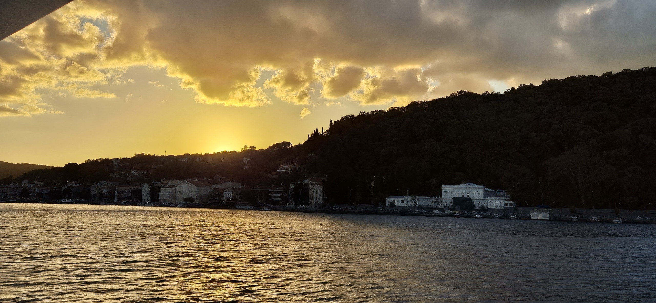 У Чёрного моря