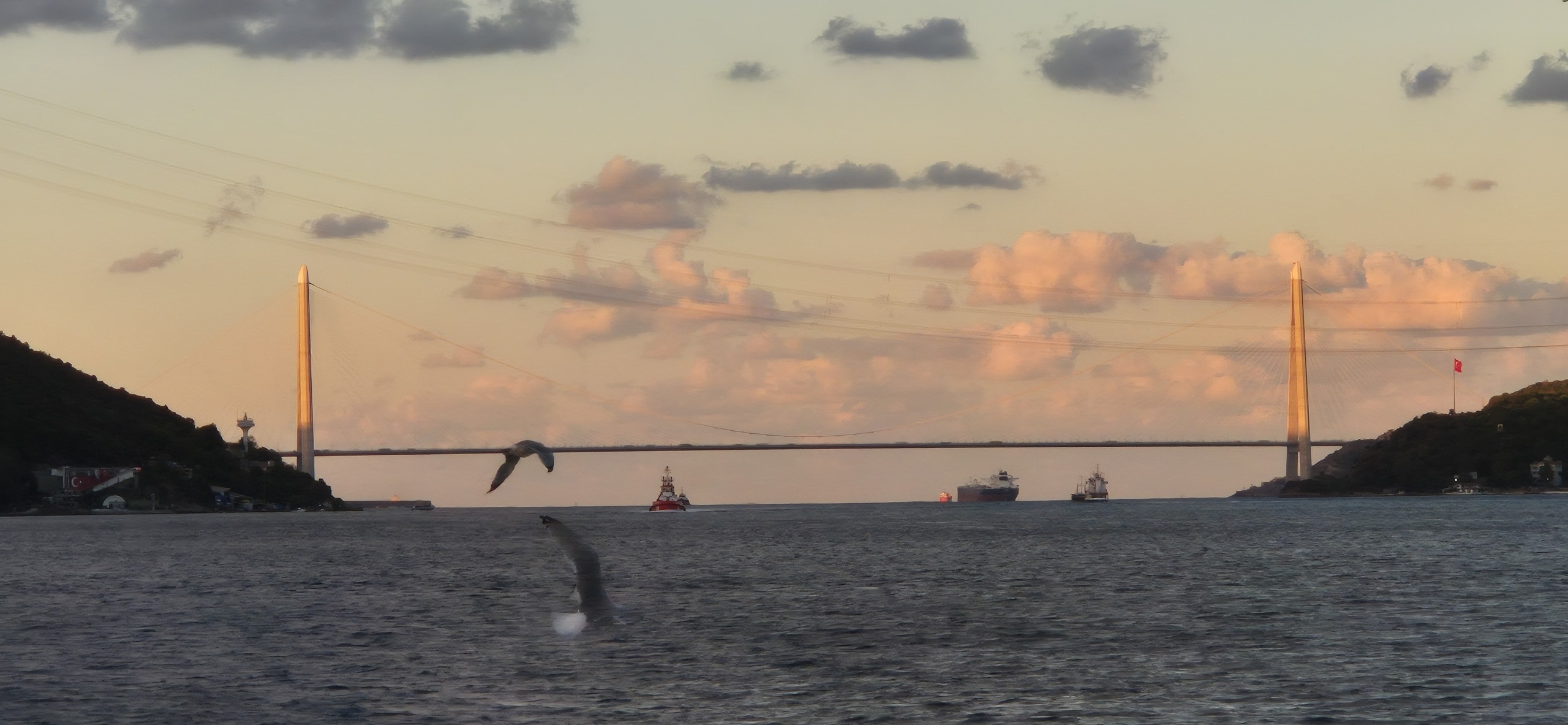 У Чёрного моря