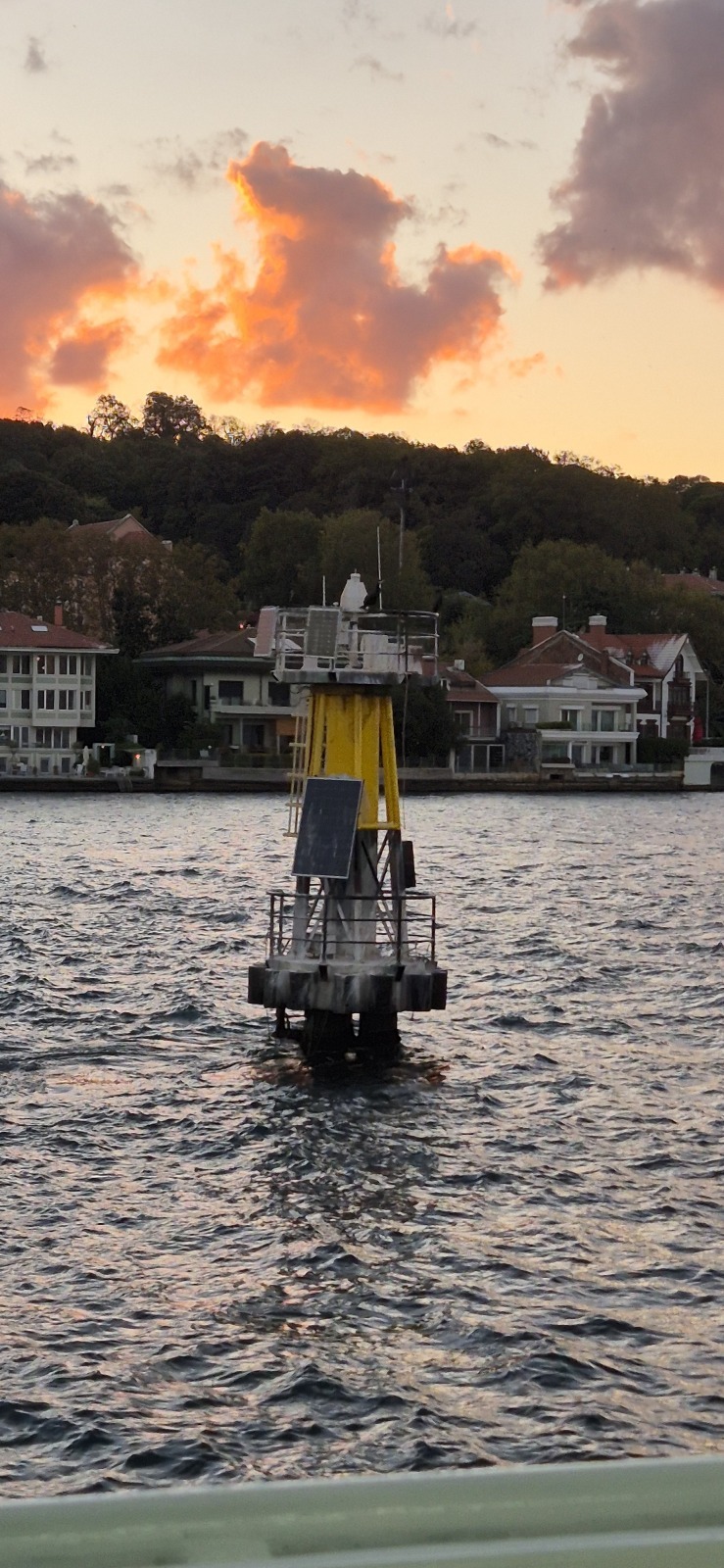 У Чёрного моря