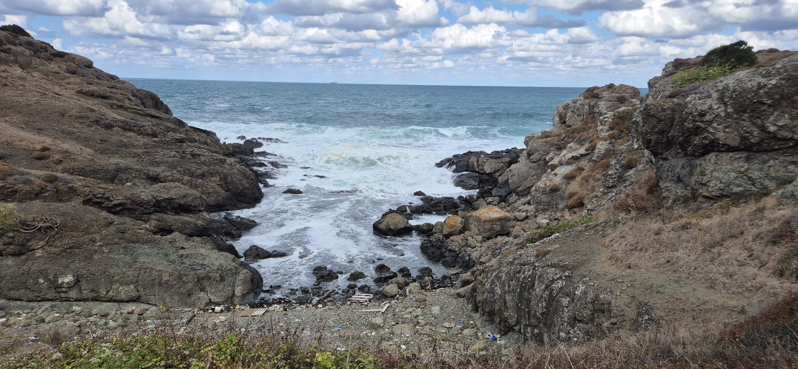 У Чёрного моря