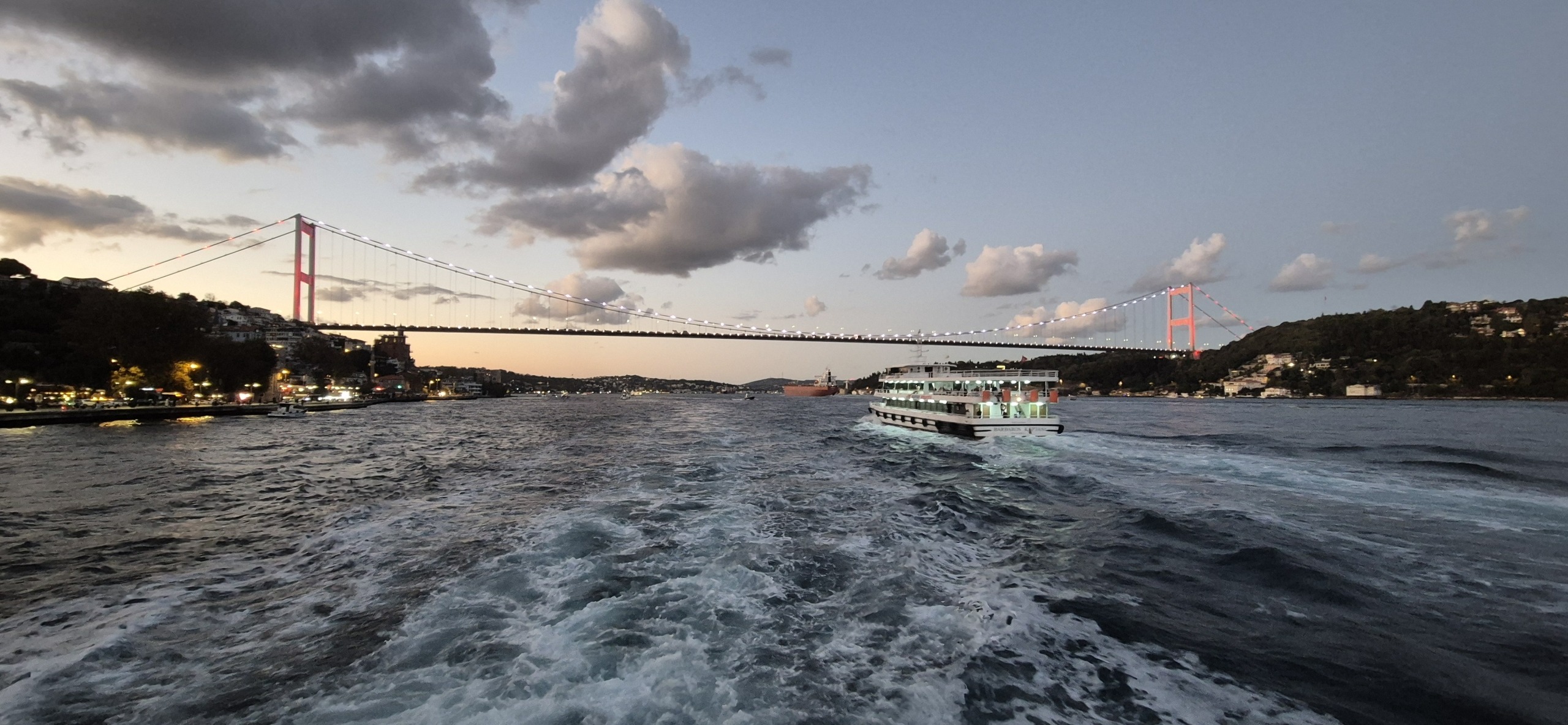 У Чёрного моря