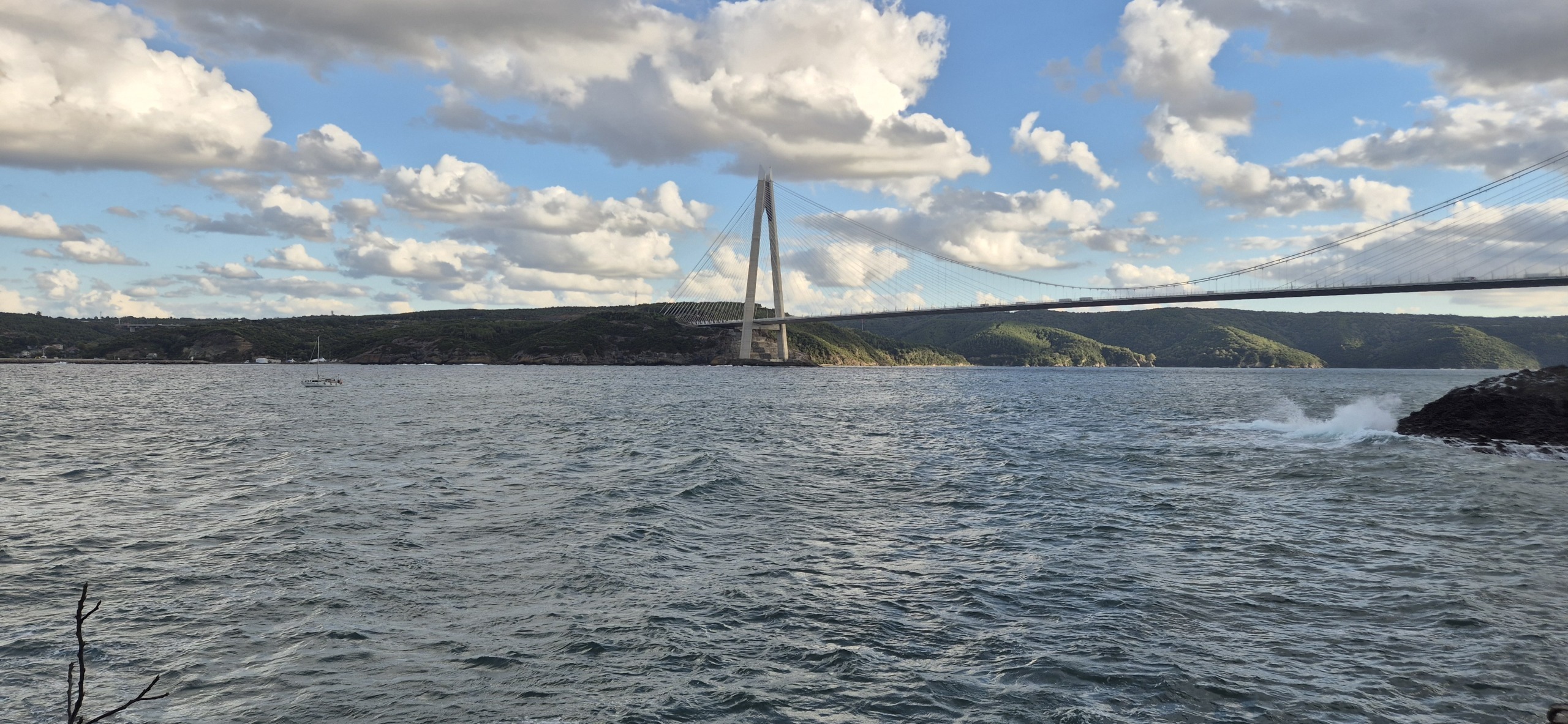 У Чёрного моря