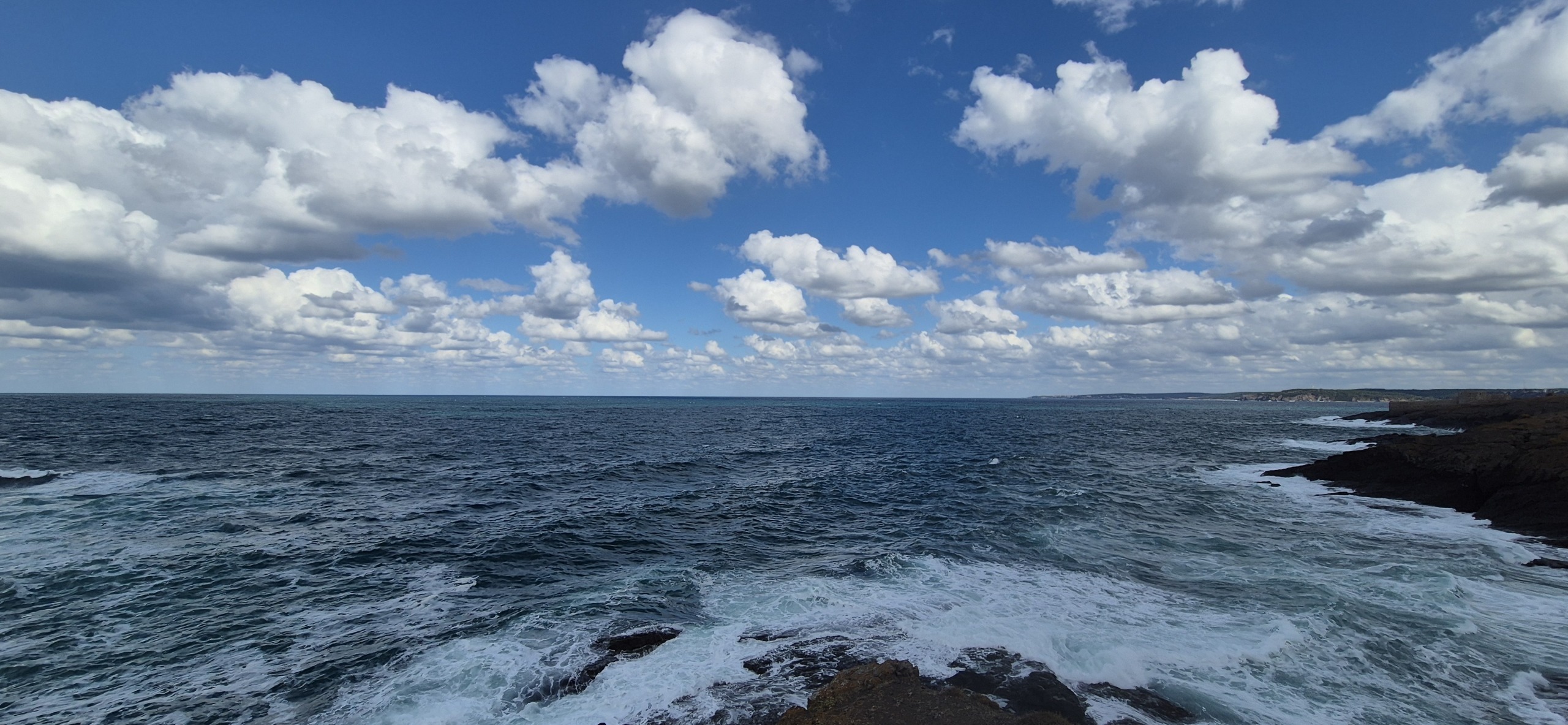 У Чёрного моря