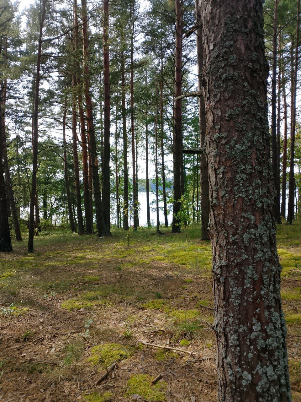 Куда деть обиду, которую нельзя высказать?