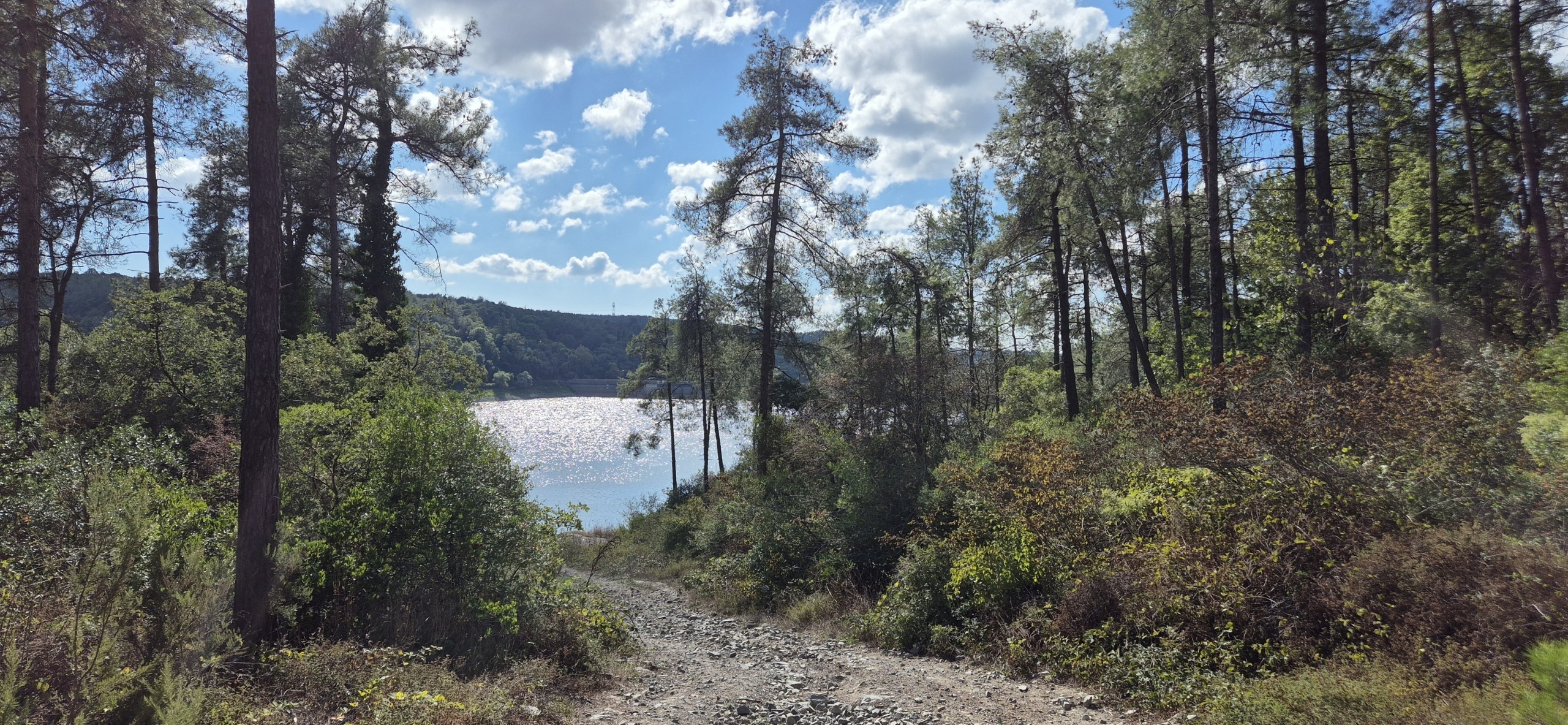 Парк около Family Garden Düğün Davet