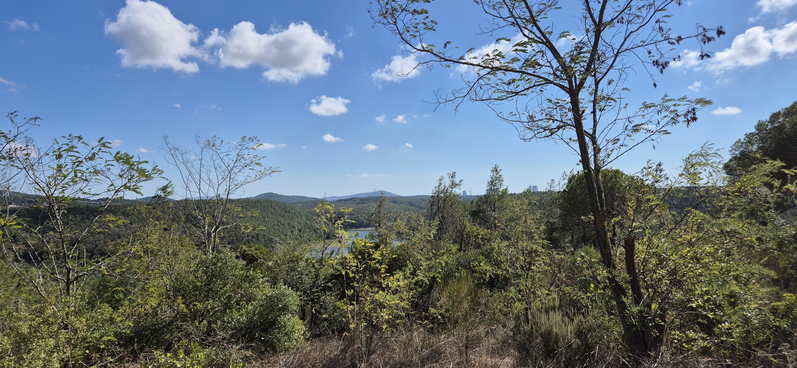 Парк около Family Garden Düğün Davet