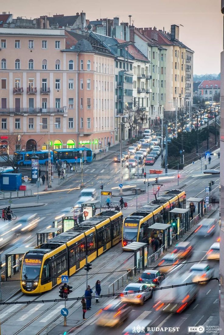 ~Большой город против маленького городка: Где лучше пустить корни?~