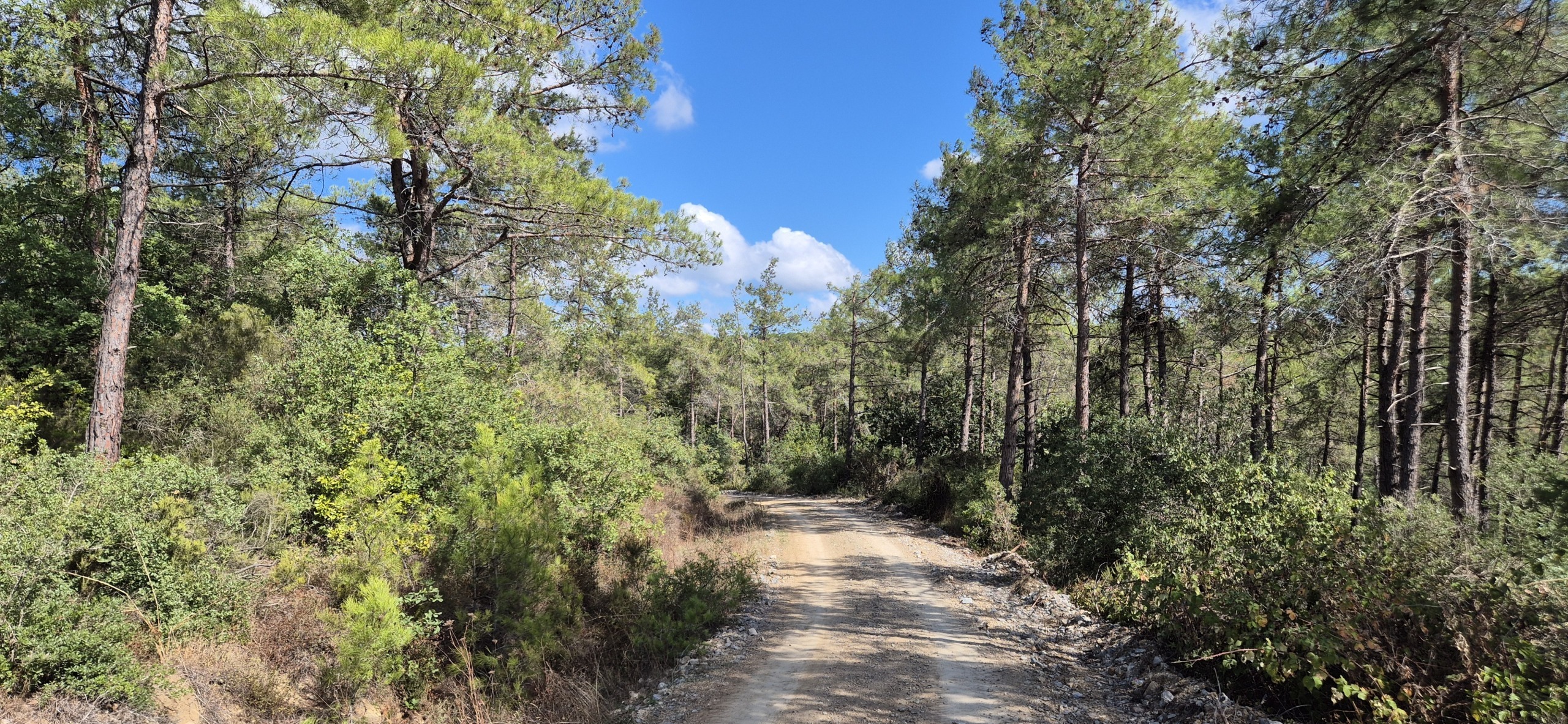 Парк около Family Garden Düğün Davet