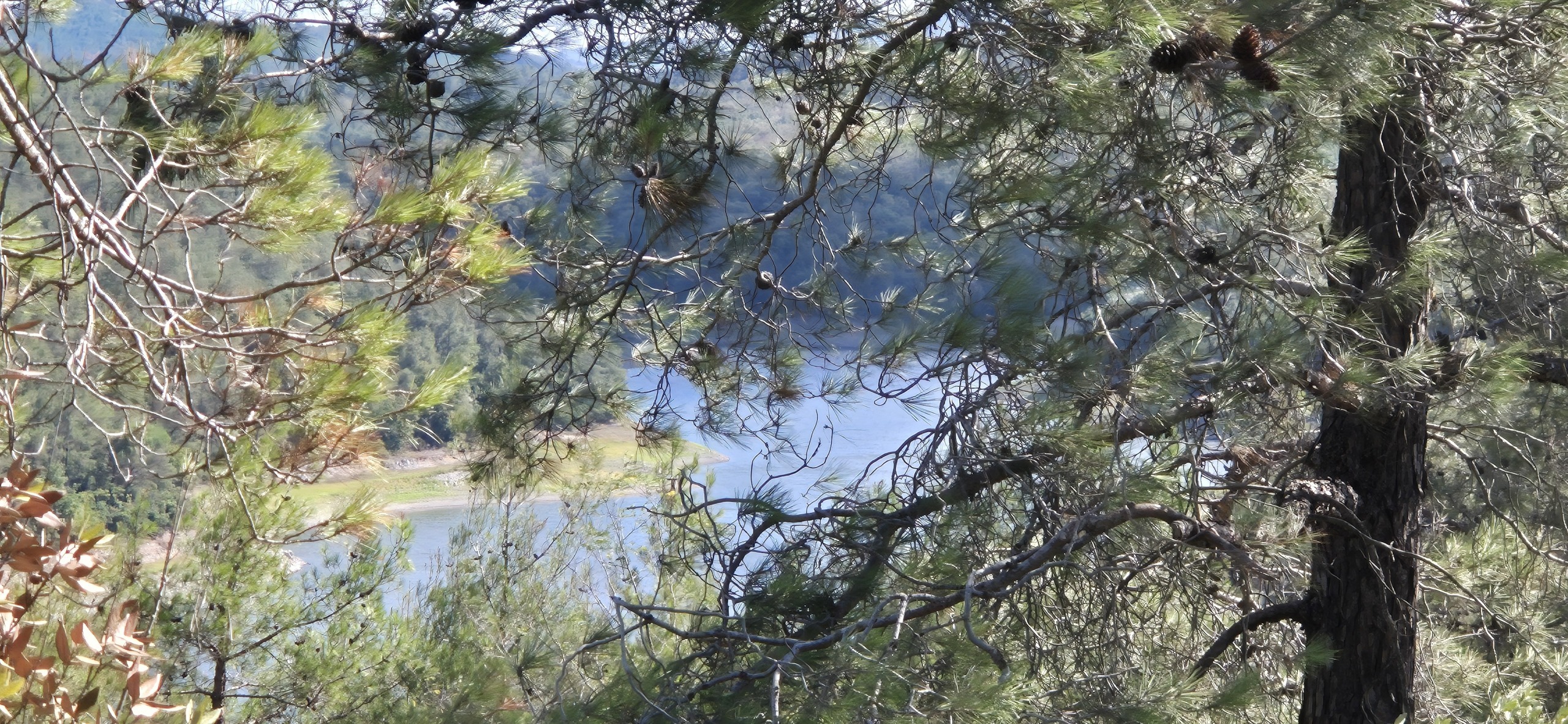 Парк около Family Garden Düğün Davet