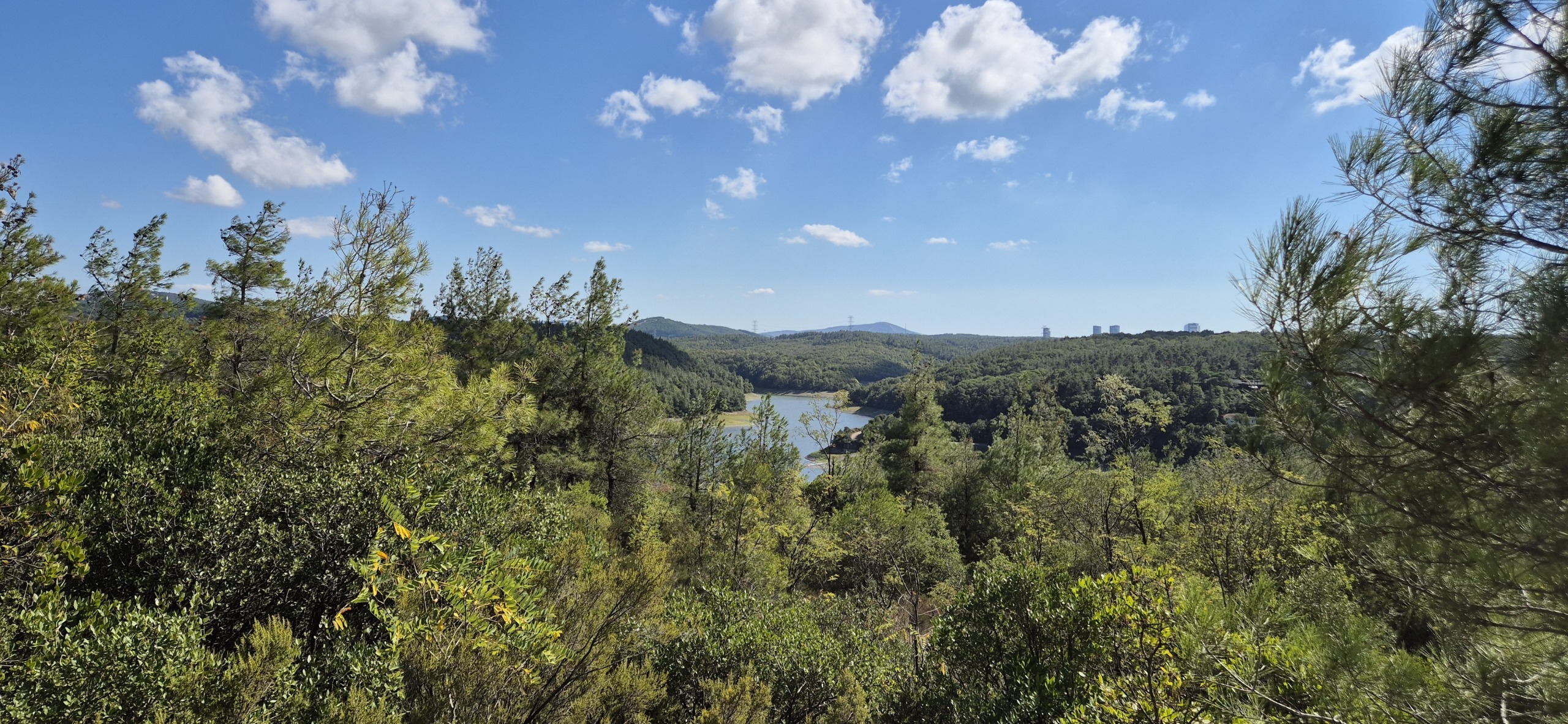 Парк около Family Garden Düğün Davet