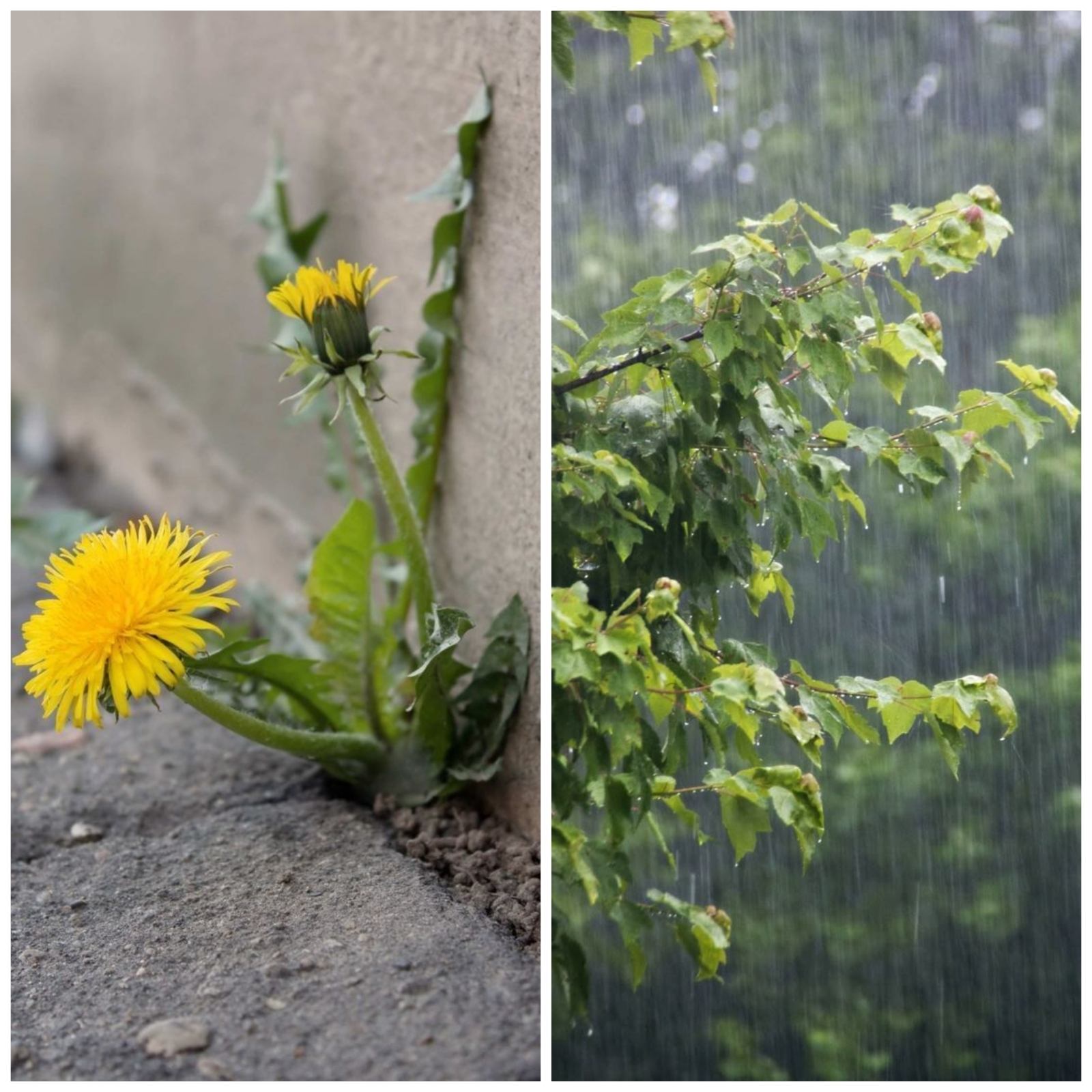 Прогноз погоды по приметам