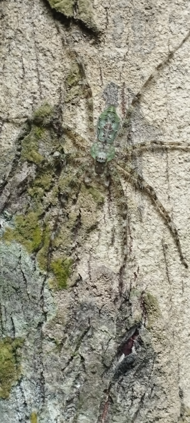 Путешествие пенсионеров в Таиланде