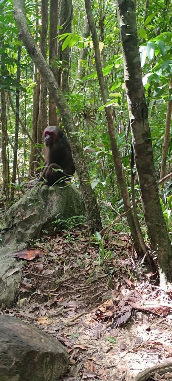 Путешествие пенсионеров в Таиланде