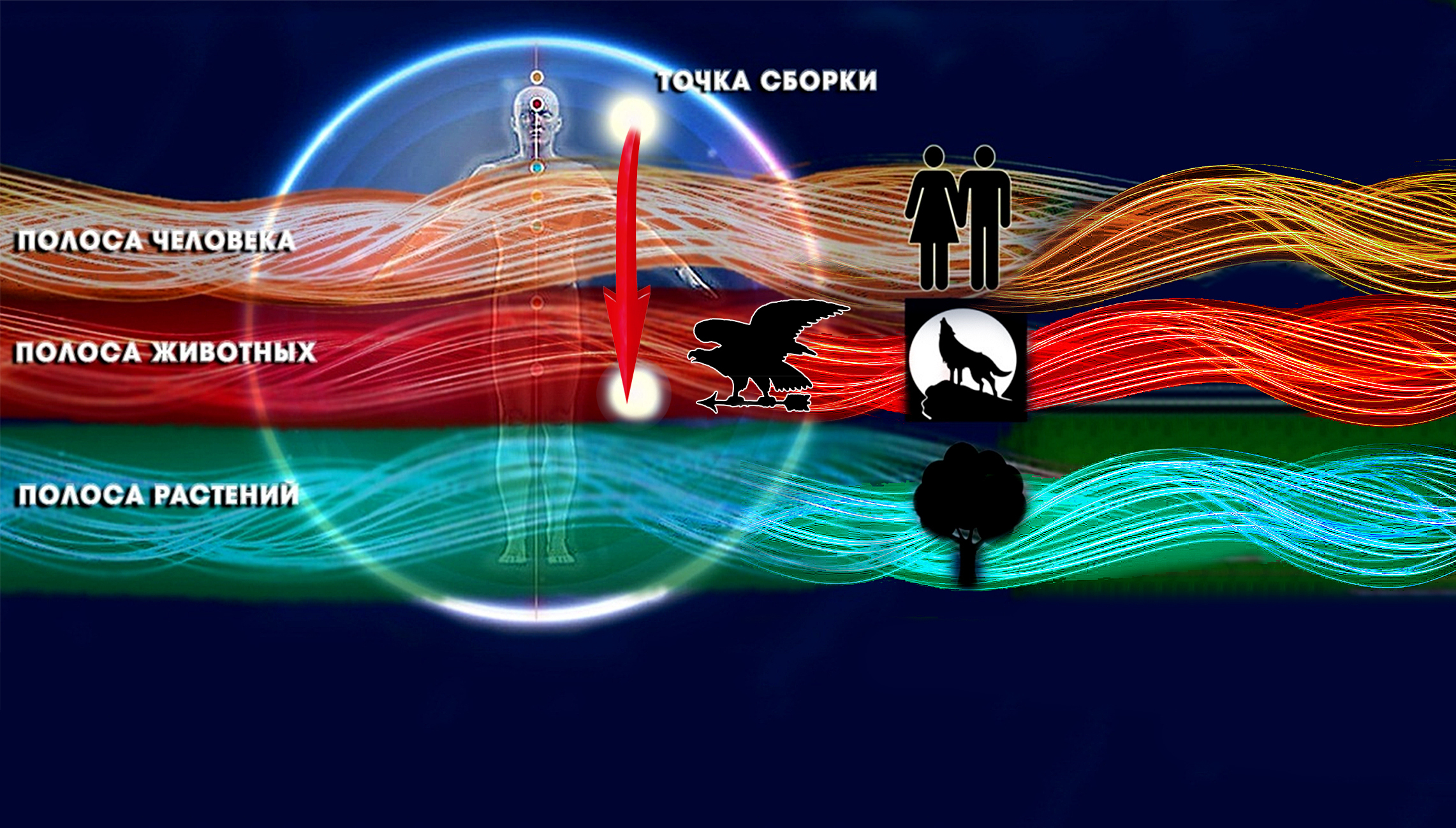 О сознании животных и растений. Новое открытие в учении дона Хуана / Карлоса Кастанеды!